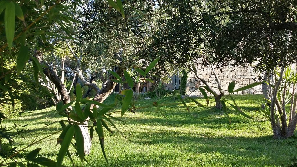 Tenuta Terenzano Torre San Giovanni Ugento Εξωτερικό φωτογραφία