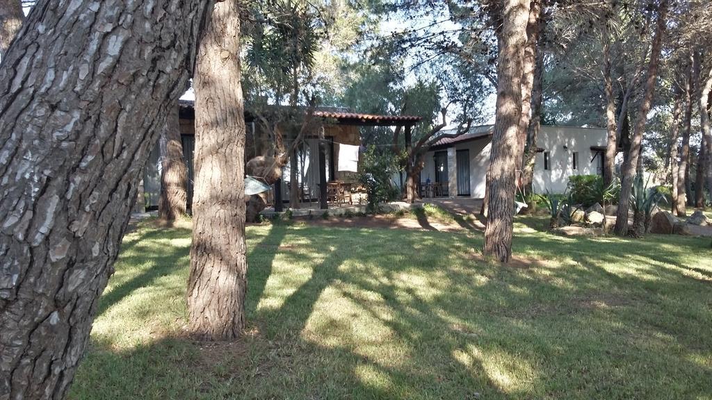 Tenuta Terenzano Torre San Giovanni Ugento Εξωτερικό φωτογραφία